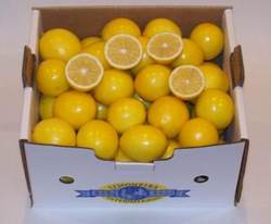 Sweet Meyer Lemon Mini Pack