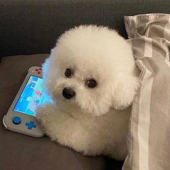 2023年朴叙俊年度翻车